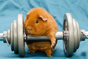 开云中国-国际热身赛中国青年队战胜 球迷鼓励新人，国家队热身赛有出场费吗