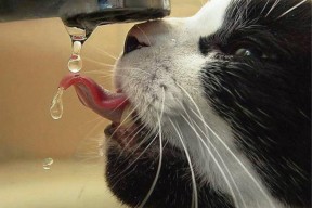 开云电竞-中国足球品牌建设动力不足，中国足球运动品牌